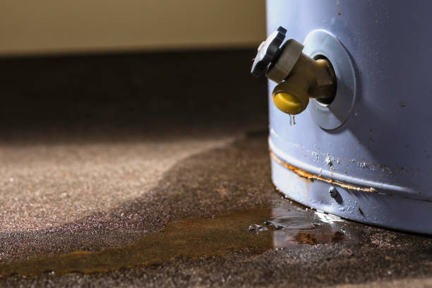 Best Flood restoration services  in Avalon, CA