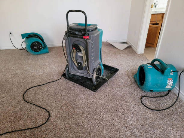 Best Residential water damage restoration  in Avalon, CA