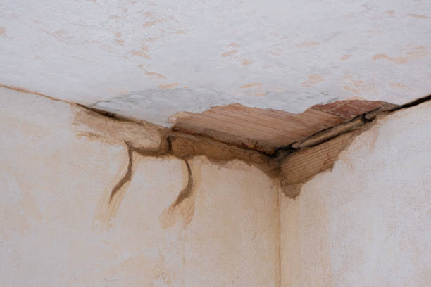 Best Water damage restoration insurance claims  in Avalon, CA