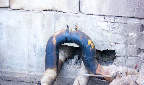  Avalon, CA Water damage restoration Pros