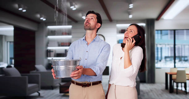 Carpet water damage restoration in Avalon, CA